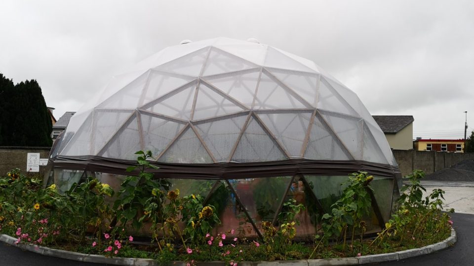 Wood_dome_irealnd_23